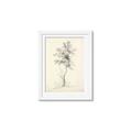Picture of Tall Tree II _GroupedProduct_Rectangle_Portrait_Framed_Matted_