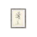 Picture of Tall Tree II _GroupedProduct_Rectangle_Portrait_Framed_Matted_