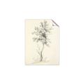 Picture of Tall Tree II _GroupedProduct_Rectangle_Portrait_Unframed_Print_Only_