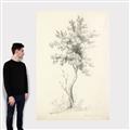 Picture of Tall Tree II _GroupedProduct_Rectangle_Portrait_Canvas_