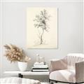 Picture of Tall Tree II _GroupedProduct_Rectangle_Portrait_Canvas_