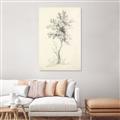 Picture of Tall Tree II _GroupedProduct_Rectangle_Portrait_Canvas_
