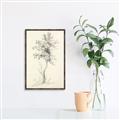 Picture of Tall Tree II _GroupedProduct_Rectangle_Portrait_Canvas_Framed_