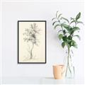 Picture of Tall Tree II _GroupedProduct_Rectangle_Portrait_Canvas_Framed_