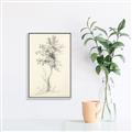 Picture of Tall Tree II _GroupedProduct_Rectangle_Portrait_Canvas_Framed_