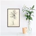 Picture of Tall Tree II _GroupedProduct_Rectangle_Portrait_Canvas_Framed_