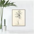 Picture of Tall Tree II _GroupedProduct_Rectangle_Portrait_Canvas_Framed_