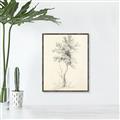 Picture of Tall Tree II _GroupedProduct_Rectangle_Portrait_Canvas_Framed_
