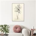 Picture of Tall Tree II _GroupedProduct_Rectangle_Portrait_Canvas_Framed_