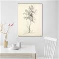 Picture of Tall Tree II _GroupedProduct_Rectangle_Portrait_Canvas_Framed_