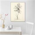 Picture of Tall Tree II _GroupedProduct_Rectangle_Portrait_Canvas_Framed_