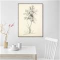 Picture of Tall Tree II _GroupedProduct_Rectangle_Portrait_Canvas_Framed_