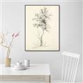 Picture of Tall Tree II _GroupedProduct_Rectangle_Portrait_Canvas_Framed_