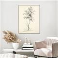 Picture of Tall Tree II _GroupedProduct_Rectangle_Portrait_Canvas_Framed_