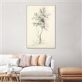 Picture of Tall Tree II _GroupedProduct_Rectangle_Portrait_Canvas_Framed_