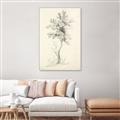 Picture of Tall Tree II _GroupedProduct_Rectangle_Portrait_Canvas_Framed_