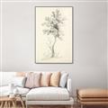 Picture of Tall Tree II _GroupedProduct_Rectangle_Portrait_Canvas_Framed_