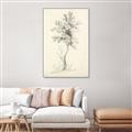 Picture of Tall Tree II _GroupedProduct_Rectangle_Portrait_Canvas_Framed_