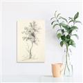 Picture of Tall Tree II _GroupedProduct_Rectangle_Portrait_Unframed_Print_Only_