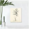 Picture of Tall Tree II _GroupedProduct_Rectangle_Portrait_Unframed_Print_Only_