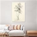 Picture of Tall Tree II _GroupedProduct_Rectangle_Portrait_Unframed_Print_Only_