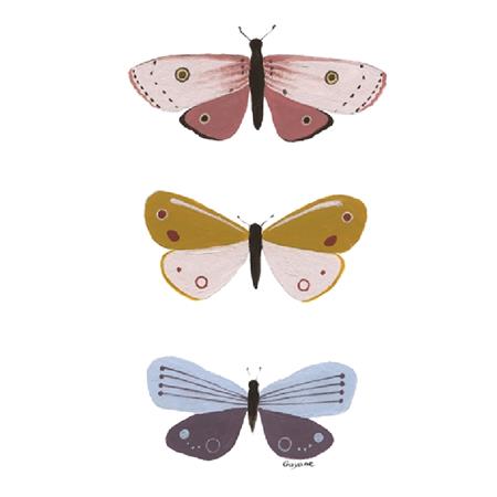 Picture for category Butterflies