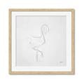 Picture of Snow White Baby Flamingo _GroupedProduct_Square_Framed_Matted_